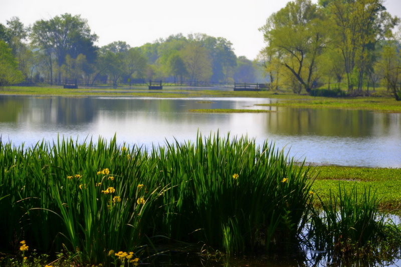 The Oakville Indian Mounds Park & Museum